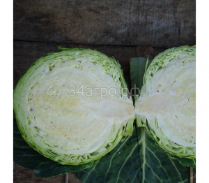 Капуста белокочанная Сир F1 100 семян