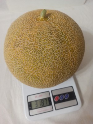 Дыня Ванда F1 (KS 517) 1000 семян