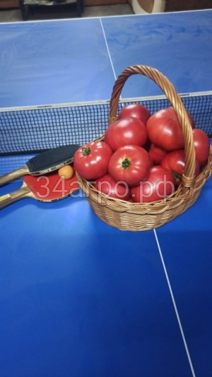 Томат Килато F1 10 семян