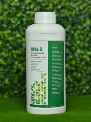 Инсектицид Ревивал (REVIVAL SL) 1 л (аналог Вирона)