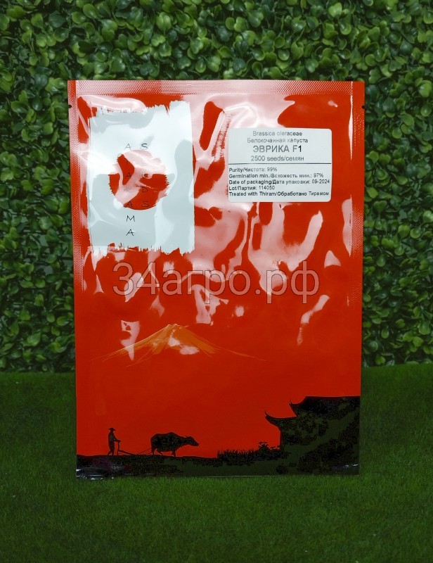 Капуста белокачанная Эврика F1 2500 семян