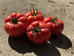 Томат Эрай F1 (Пинк Хит) 500 семян