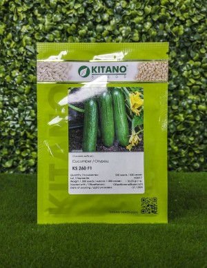 Огурец KS 260 F1 25 семян