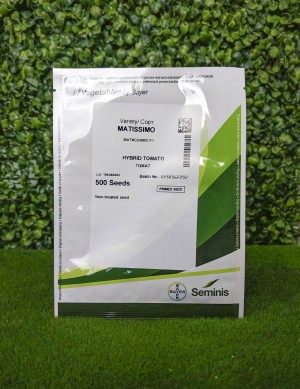 Томат Матиссимо F1 100 семян