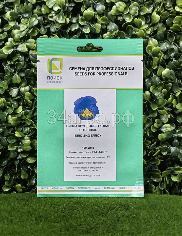 Виола крупноцветковая Кетс Плюс Еллоу 100 семян