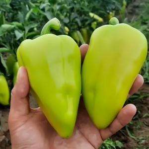 Перец сладкий Амаретта F1 50 семян