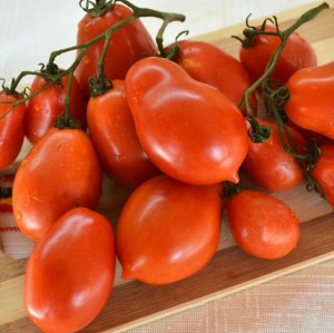 Томат Ракета 50 гр.